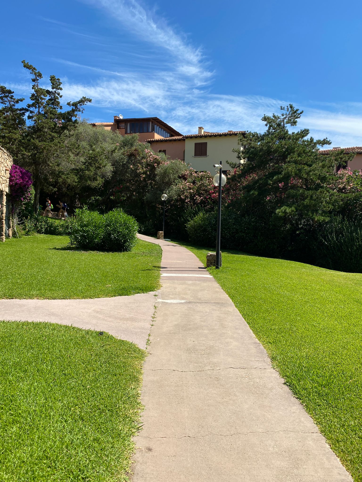 Bouganville — La Ciaccia, Sardegna — Residenze di Anna