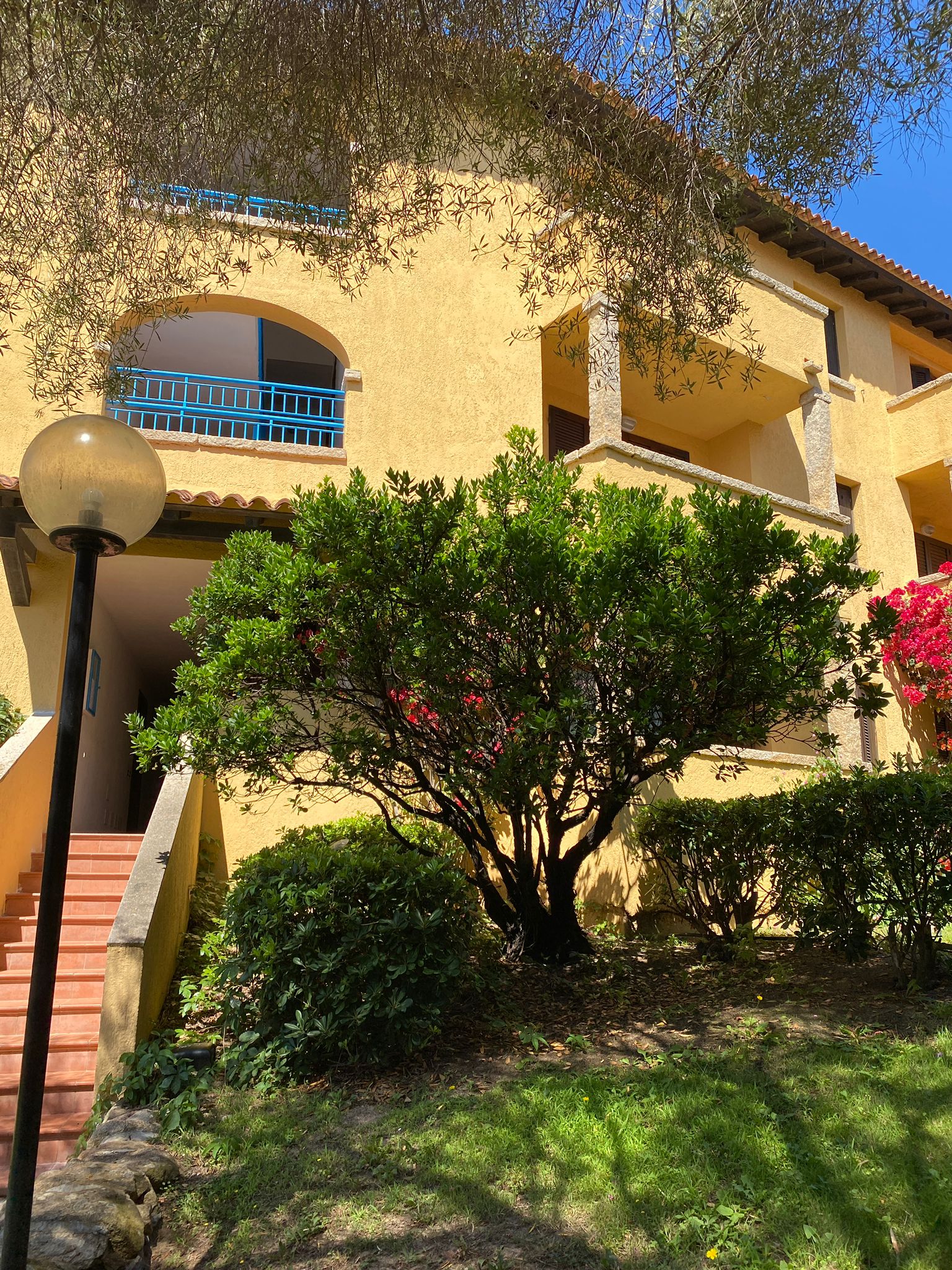 Bouganville — La Ciaccia, Sardegna — Residenze di Anna