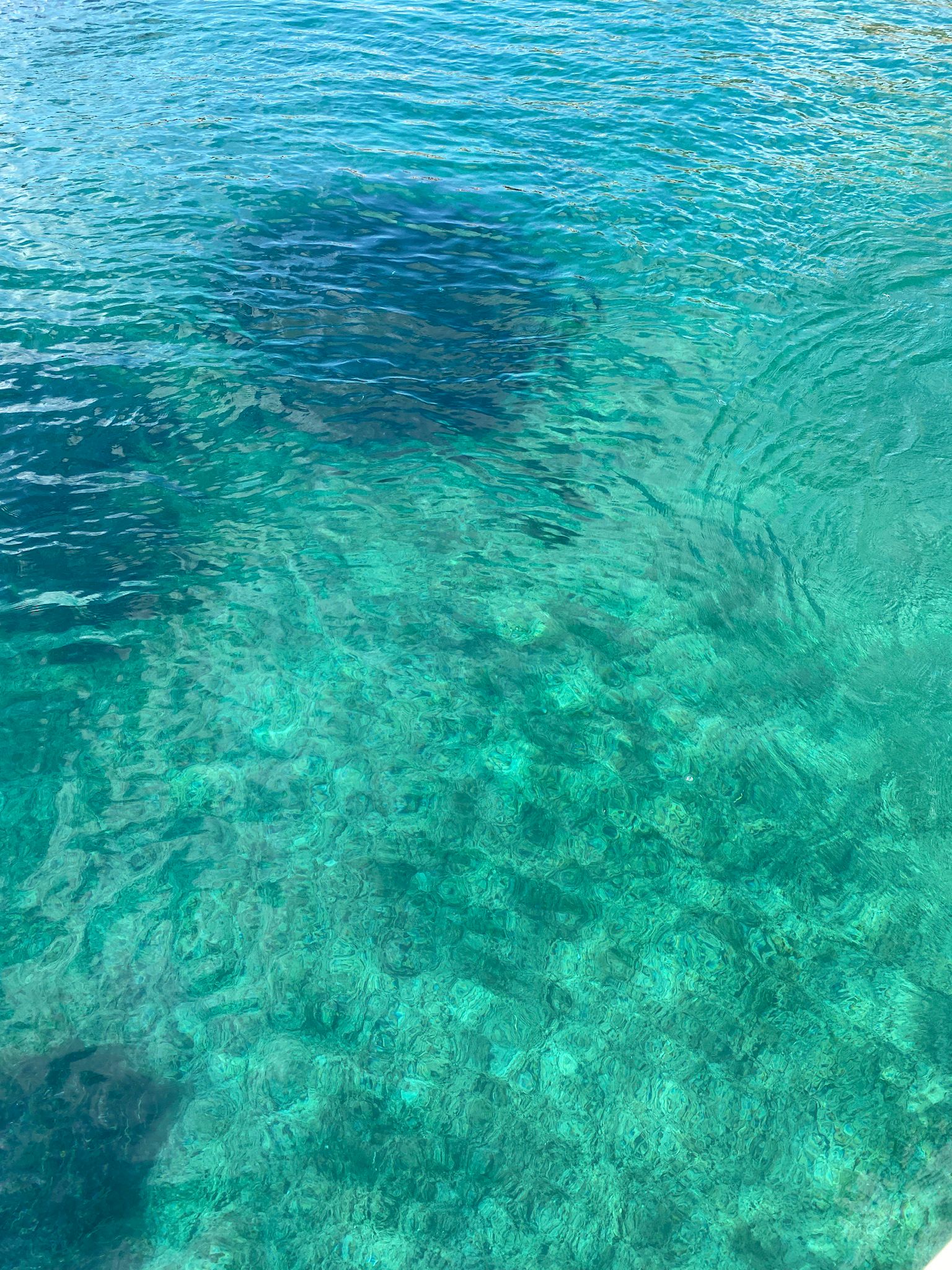 Bouganville — La Ciaccia, Sardegna — Residenze di Anna