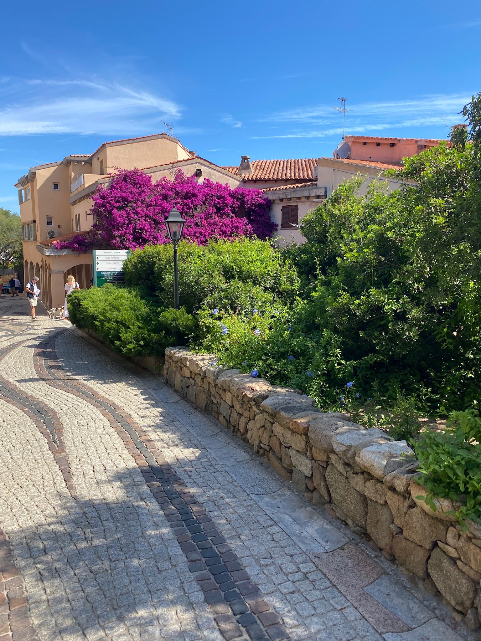Bouganville — La Ciaccia, Sardegna — Residenze di Anna